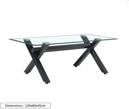 TABLE BASSE IXE METAL TRANSPARENT 120x60x45cm