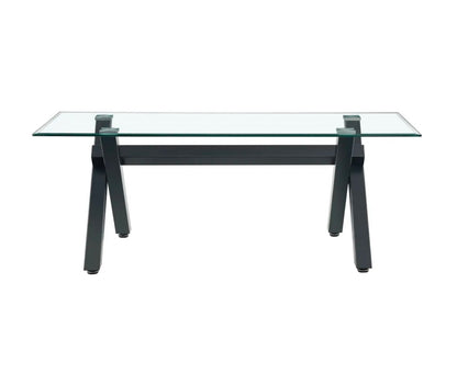 TABLE BASSE IXE METAL TRANSPARENT 120x60x45cm