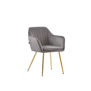 CHAISE AVEC ACCOUDOIR KANVAS PIEDS GOLD VELOURS ANTHRACITE