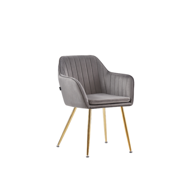 CHAISE AVEC ACCOUDOIR KANVAS PIEDS GOLD VELOURS ANTHRACITE