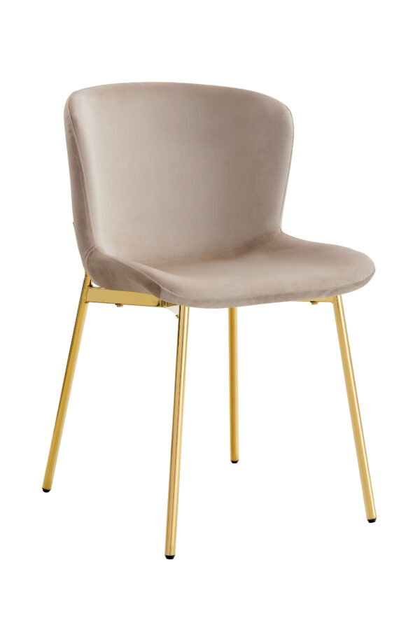 CHAISE HAILEY PIED GOLD ASSISE MOKA