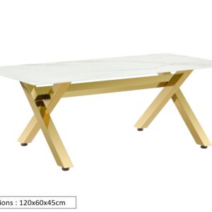 TABLE BASSE IXE GOLD MARBRE BLANC 120x60x45cm